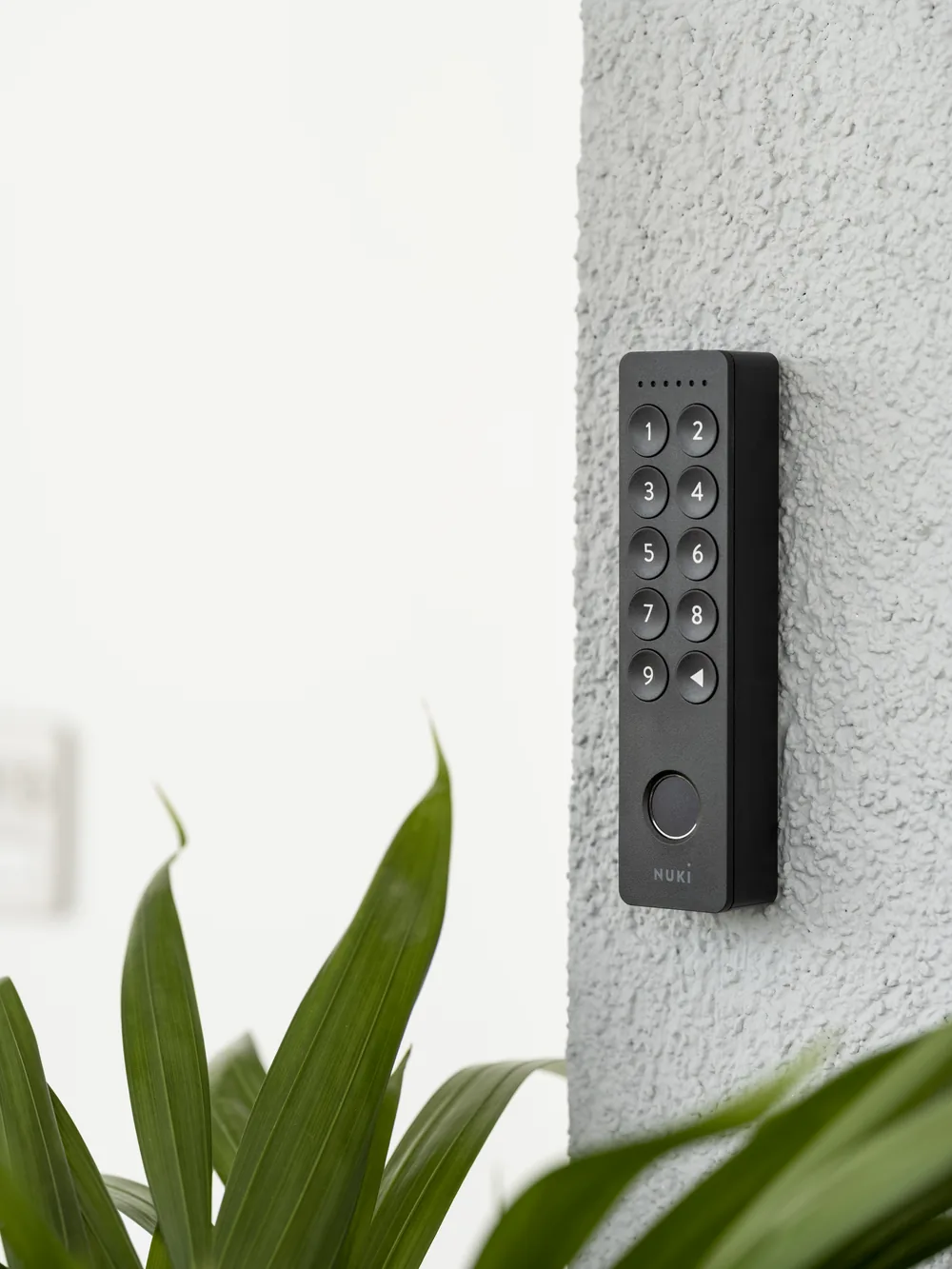 Keypad 2 montato su una parete esterna intonacata accanto a una pianta